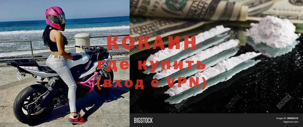 a pvp Алзамай