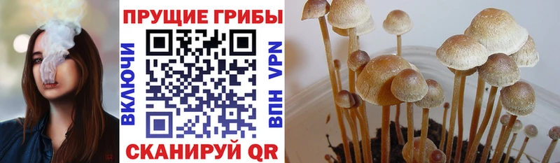Псилоцибиновые грибы MAGIC MUSHROOMS  магазин  наркотиков  Сим 