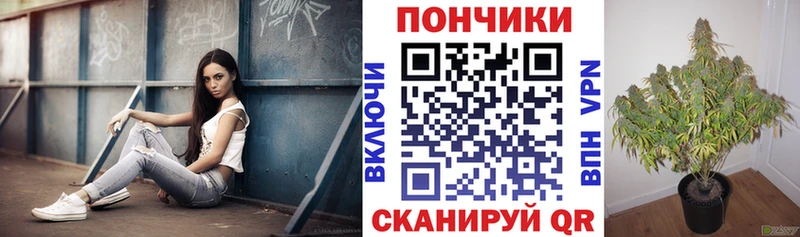 это состав  Сим  МАРИХУАНА гибрид  дарнет шоп 